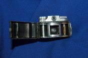 DSC_7106.jpg