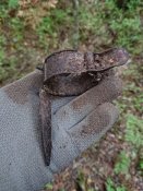 DSC_1378.JPG