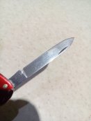 IMG_20180911_204320.jpg
