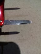 IMG_20180911_204335.jpg