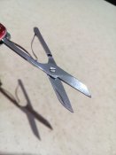 IMG_20180911_204440.jpg