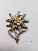 Эдельвейс 1