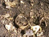Photo-0002.jpg