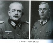 250.jpg