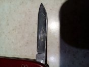 IMG_20180912_200427.jpg