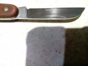 IMG_20180912_200252.jpg