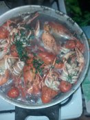 IMG_20180913_161501[1].jpg