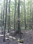 20180913_102119.jpg