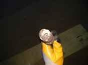 IMG_20180731_154901.jpg