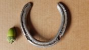 Real-Used-Lucky-Horseshoes-Very-Small-Pony-Size-_1.jpg