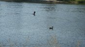 DSC05344.JPG