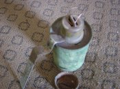 Dsc02559.jpg