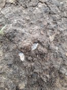20180916_080453.jpg