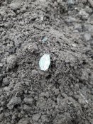 20180916_084524.jpg