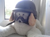 20120704_054720.jpg