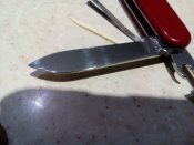 IMG_20180917_204459.jpg