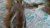 IMG_20180918_082212.jpg