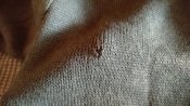 IMG_20180918_082356.jpg