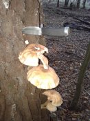 20180919_091841.jpg