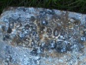 DSC00180.JPG