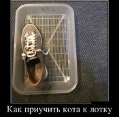 IMG_2493.jpg