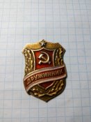 Дружинник.