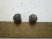 19112009691.jpg