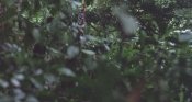 vlcsnap-2012-07-04-18h29m12s121.jpg