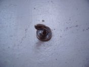 IMG02169.JPG