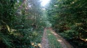 IMG_20180919_174907.jpg