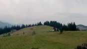 IMG_20180913_183713.jpg