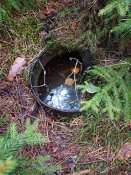 DSC_1541.JPG