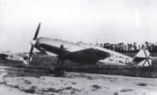 E-3.jpg