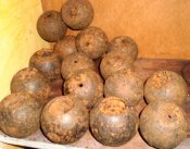 P6240010.jpg