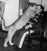 Goerings_lion.jpg