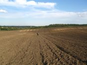 IMG_0013.jpg
