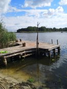 IMG_20180916_131203.jpg