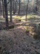 IMG_20180919_162155.jpg