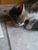 IMG_20180924_103521.jpg