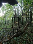 DSC_1582.JPG