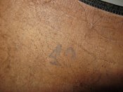 IMG_4298.jpg