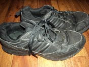 DSC05666.jpg
