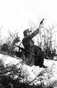 flare pistol model Walther or Army model 1934.jpg