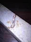 IMG_20180924_200649.jpg