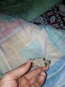 IMG_20180925_182626.jpg
