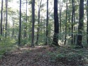 20180926_094147.jpg