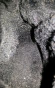 20180927_094713.jpg