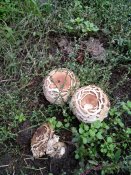IMG_20180927_135813.jpg