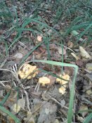 20180927_104438.jpg