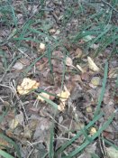 20180927_104428.jpg